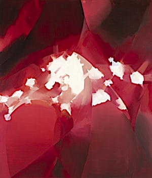 Anne Vistven: Trans-stract, 2012, 210 x 180 cm