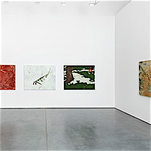 Astrid Nondal: Installation view, 2024
