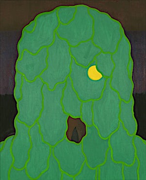 Christoffer Fjeldstad, Cabbage head, 2011, 61 x 50 cm
