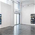 Frank Brunner: Installation view, 2016