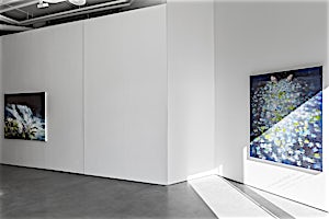 Frank Brunner, Installation view, 2016
