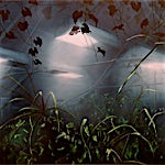 Frank Brunner: House of light C, 2004, 75 x 110 cm