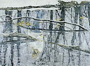 Frank Brunner, 45º Central Park #2, 2005, 170 x 233 cm