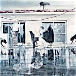 Frank Brunner: the pool #1, 2007, 150 x 200 cm