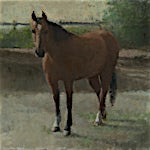 Halvard Haugerud: Hesteblikk, 2020, 30 x 32 cm