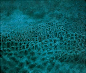 Vibeke Bärbel Slyngstad, Tropicana, 2000, 60 x 70 cm