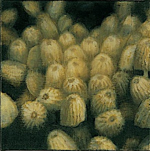 Vibeke Bärbel Slyngstad: Moody wood, 1999, 30 x 30 cm