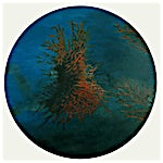 Vibeke Bärbel Slyngstad: Les couleurs de Cousteau, 2000, 85 x 85 cm