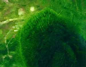 Vibeke Bärbel Slyngstad: Tropicana, 2000, 60 x 70 cm